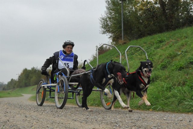 Rennen Weinfelden